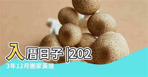 2023入宅安牀吉日吉時